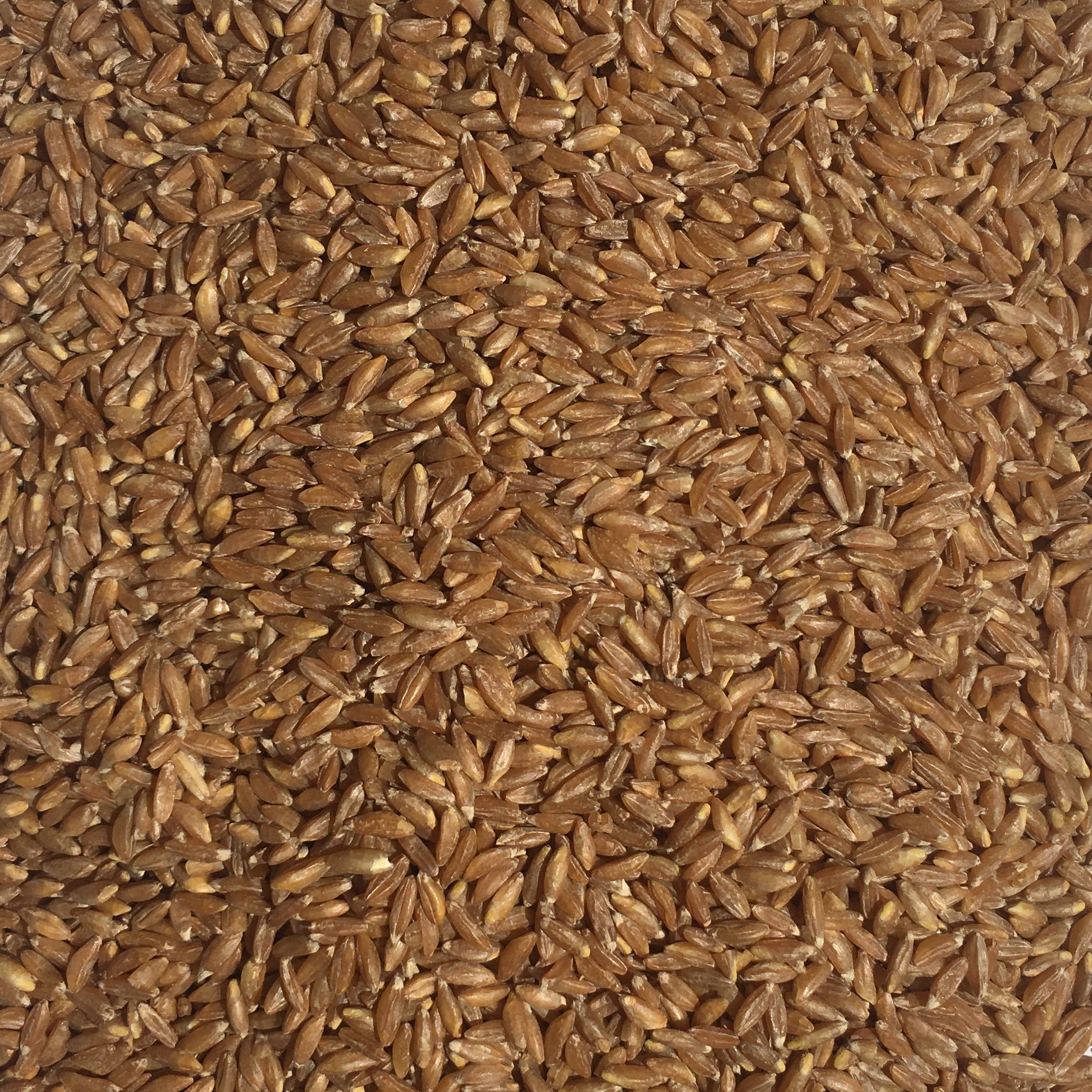 Крупа Полба шлифованная, недробленая 900г "Степь" ООО