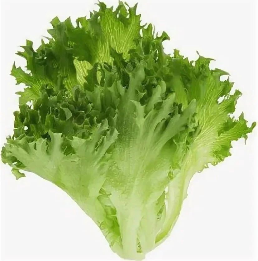 Салат свежий Фрилис 100гр