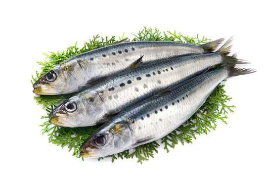 Финта (Сельдь) св/м, вес