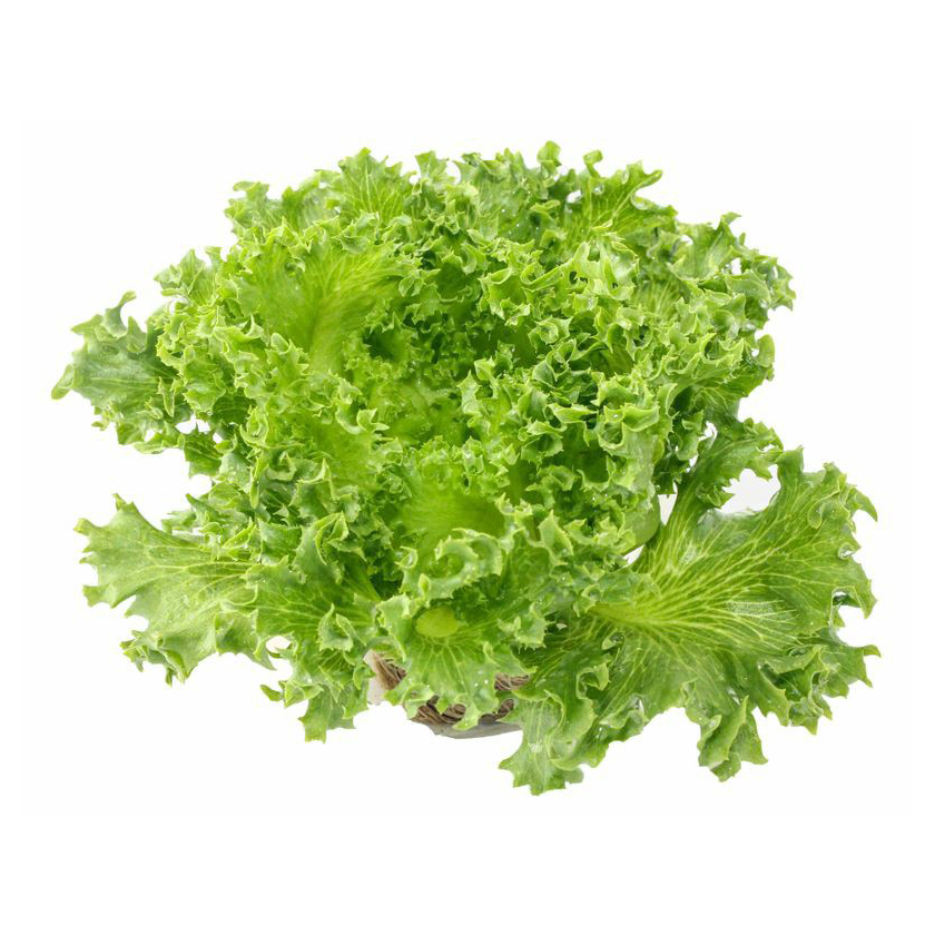 Салат Фрилис свежий 100гр