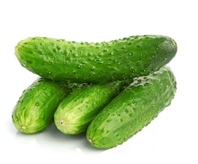 Огурцы весовые свежие