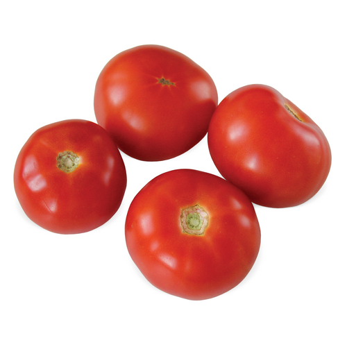 Томат красный                                                                                       