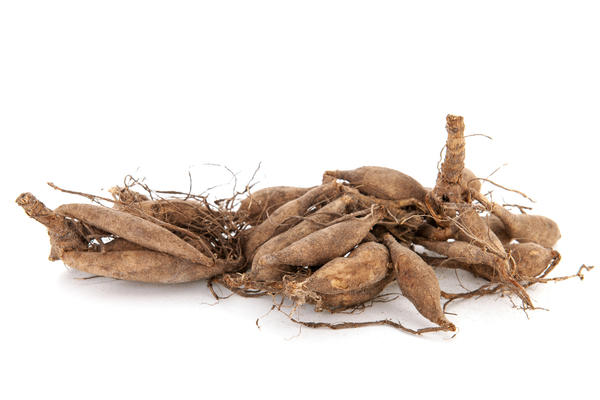 Корни Декоративно лиственных растений Химерокалис, Хоста, Астильба, Георгин