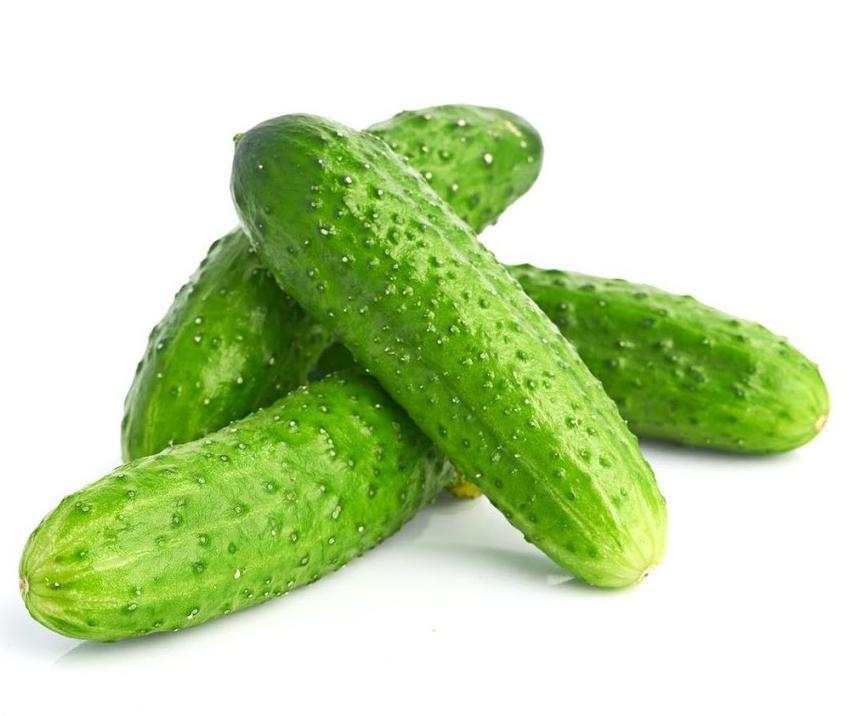 Огурец вес Россия 