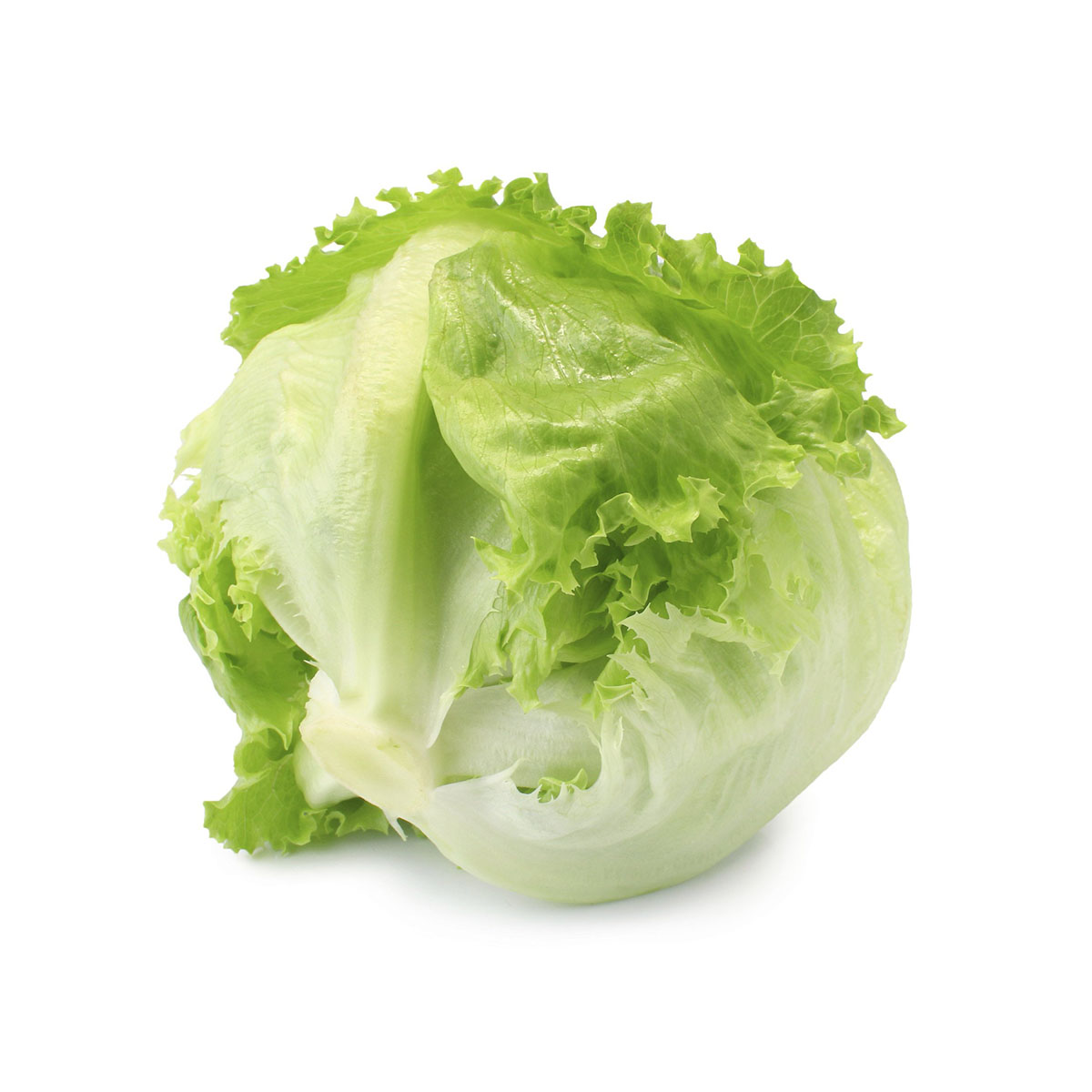 салат Айсберг ВЕС, кг