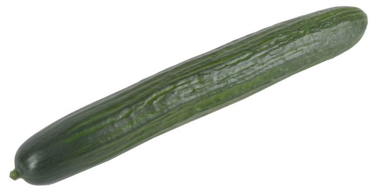 Огурец длинноплодный гладкий, вес Алекс Фрут ООО