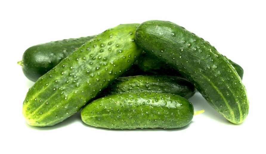 Огурцы свежие 1кг Россия