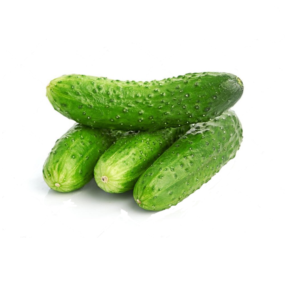 Огурец короткоплодный, вес, 1кг Алекс Фрут ООО