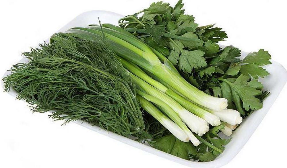 Ассорти (укроп, петрушка, лук) 200гр.