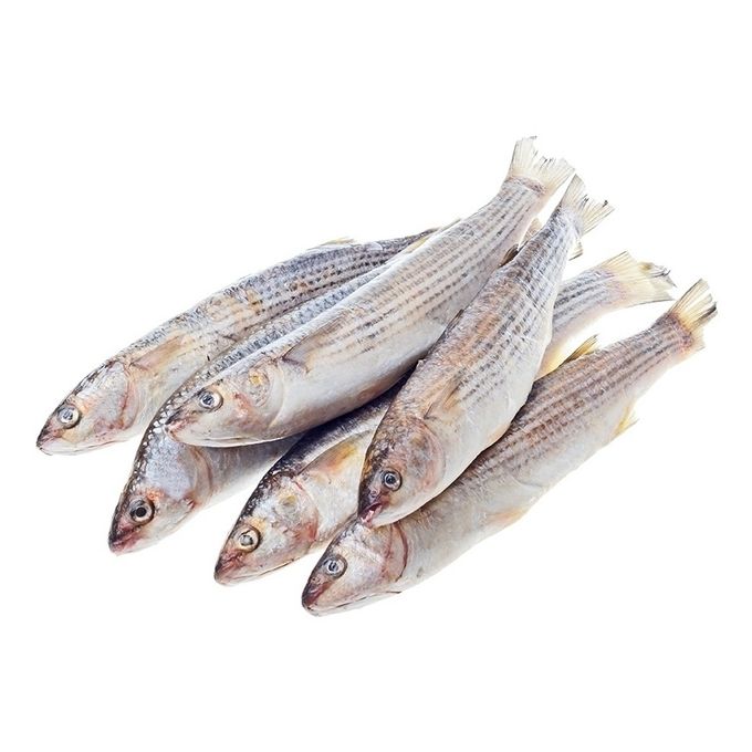 Кефаль н/р (морская) 700 1400 гр, вес