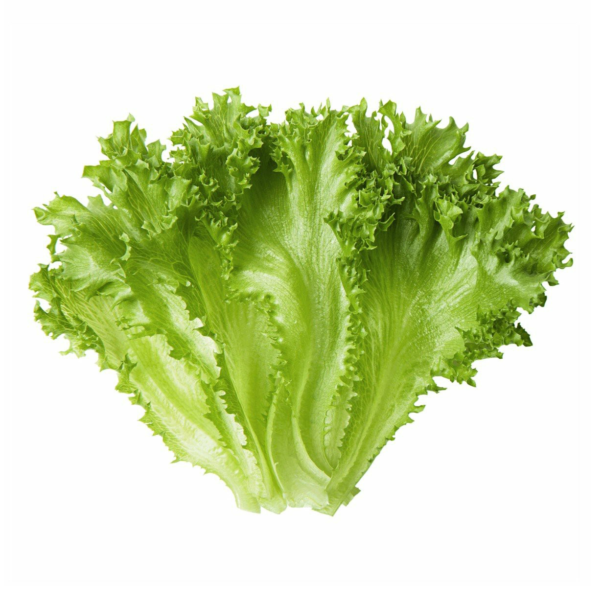 Салат Фриллис 100г