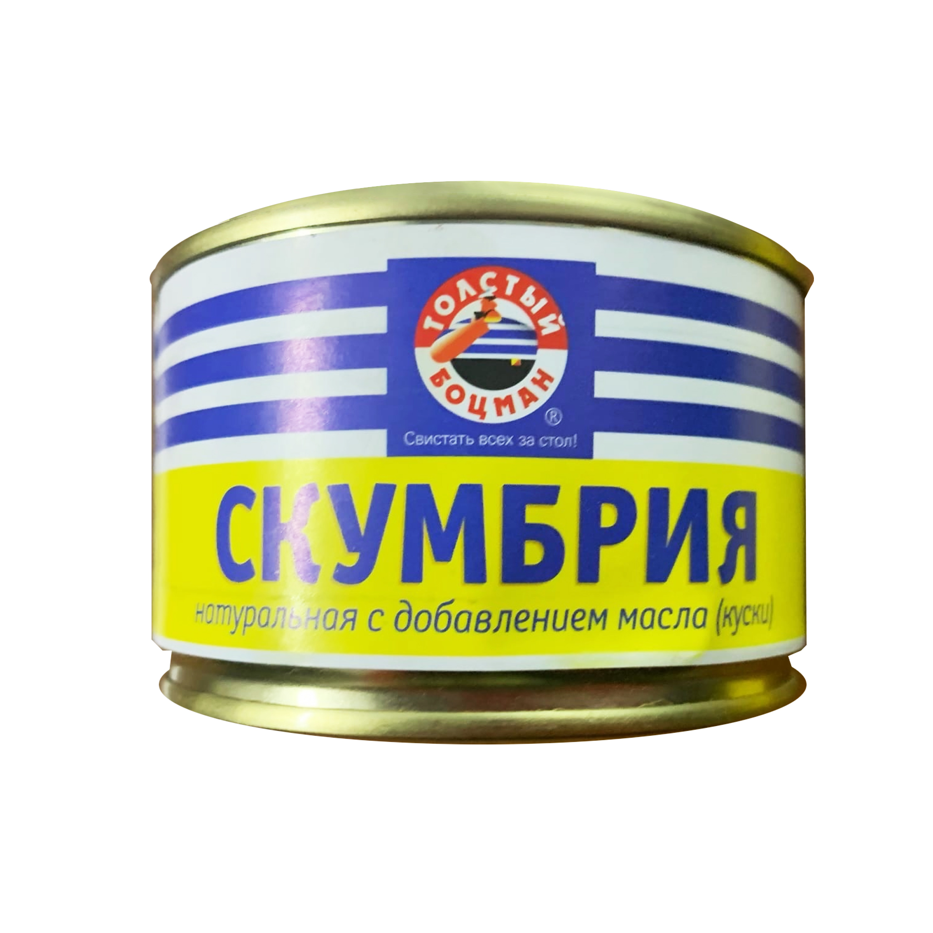 Скумбрия НДМ ГОСТ дальневосточная 240 гр б/к