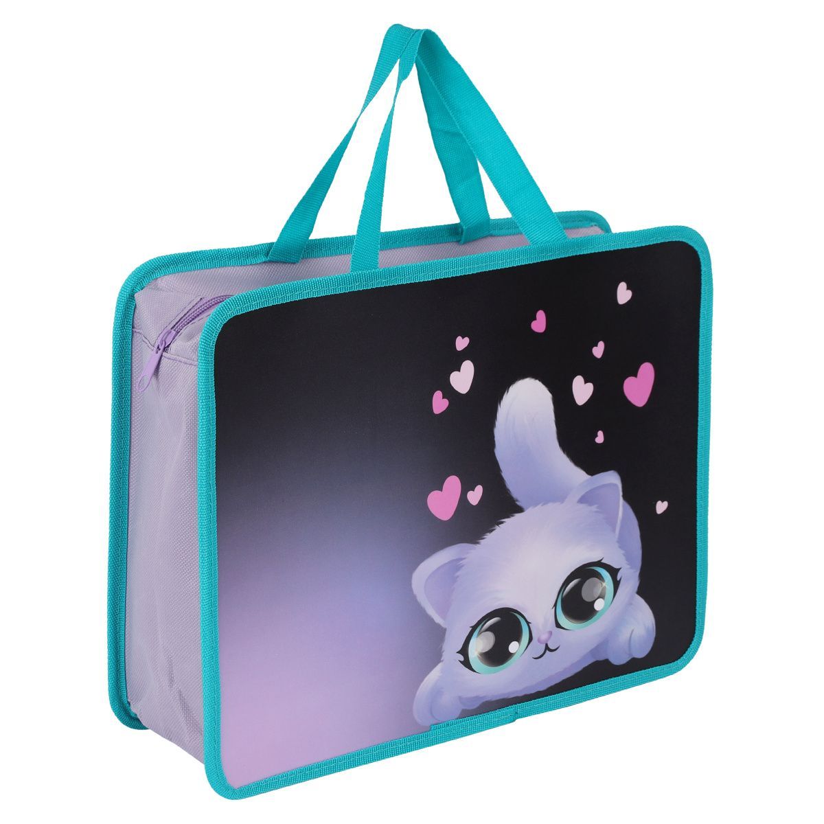 Папка с ручками А4 33*26*10см, пластик