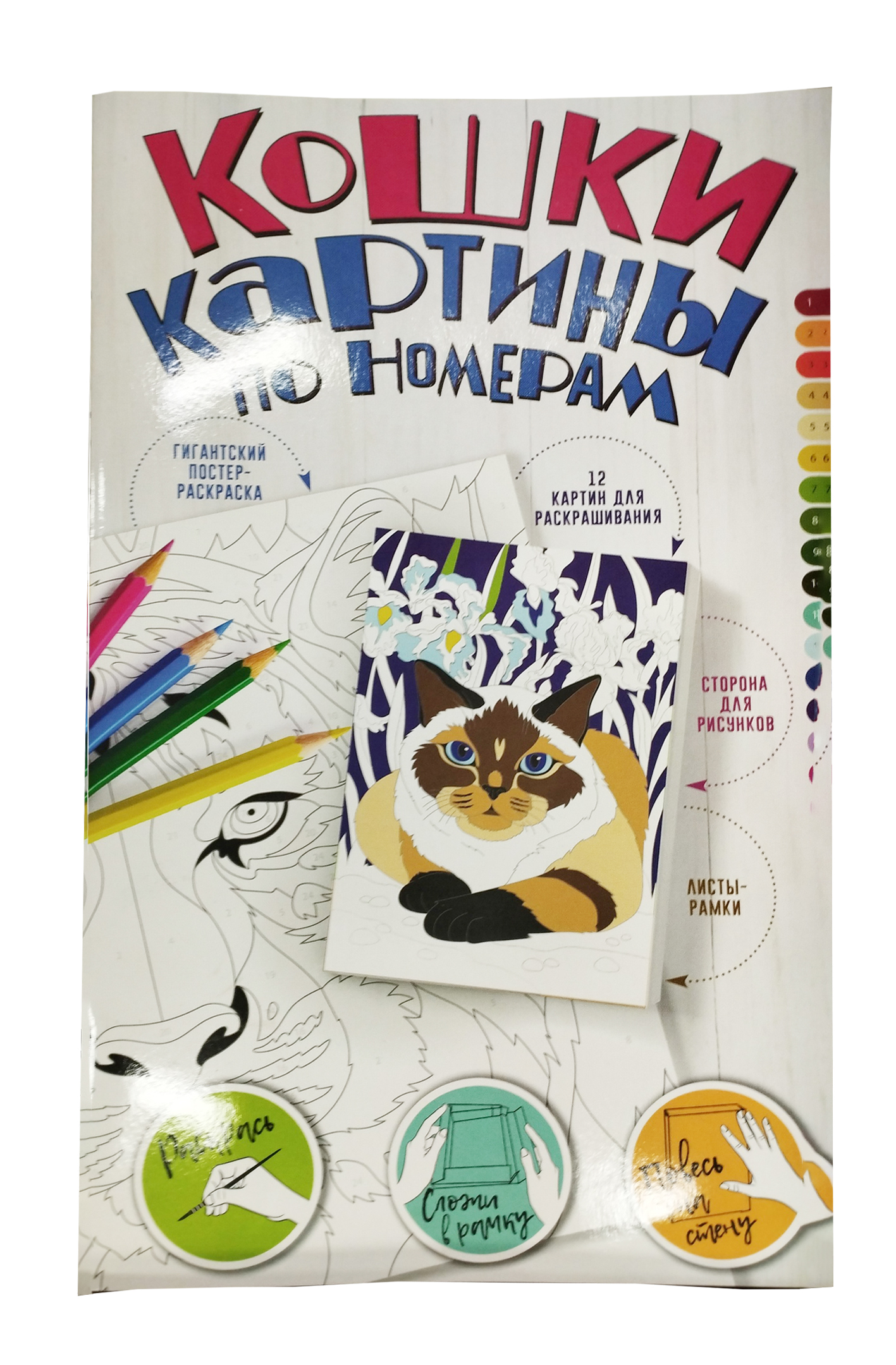 "Гигантский альбом рамка с постером 4в1 48*30 см , 24 стр .,обложка плотный картон Постер 12 р