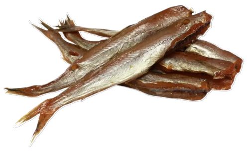 Путассу тушка б/г хк вес