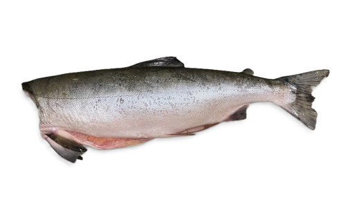 Горбуша св 2025 год вылова