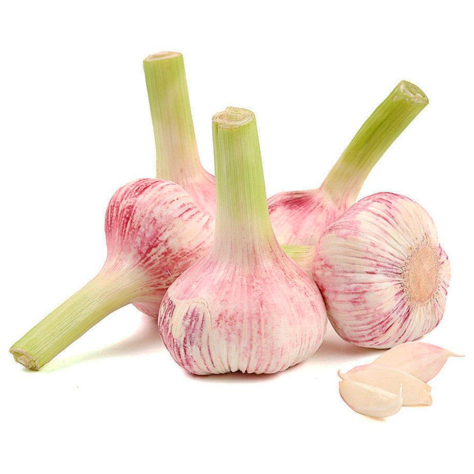 Чеснок свежий вес