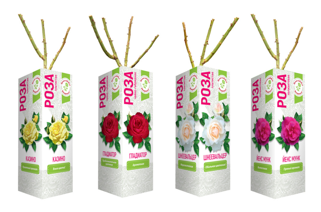 Саженцы роза микс ВЕСНА (в ассортименте)