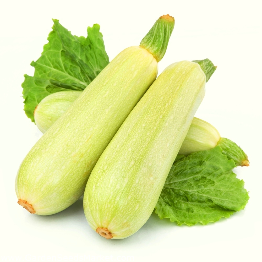 Кабачки ввесовые 1 кг.