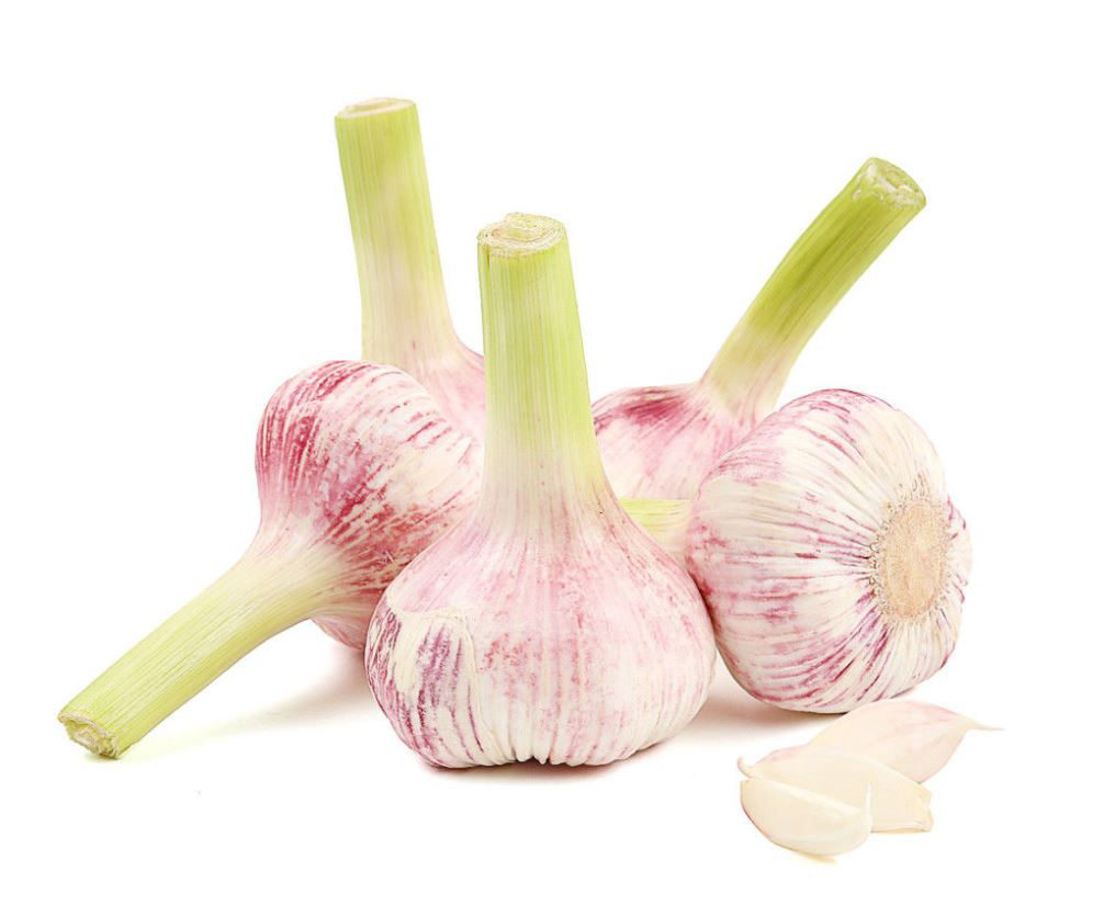 Чеснок Молодой