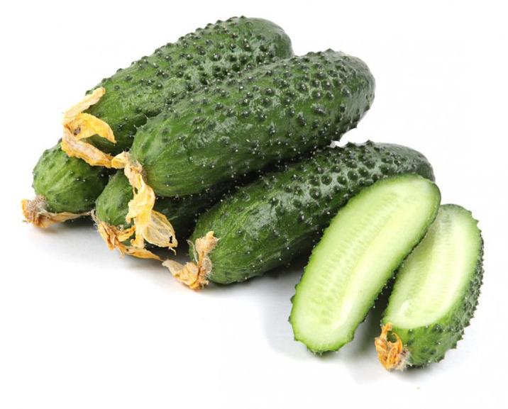 Огурцы короткоплодные колючие