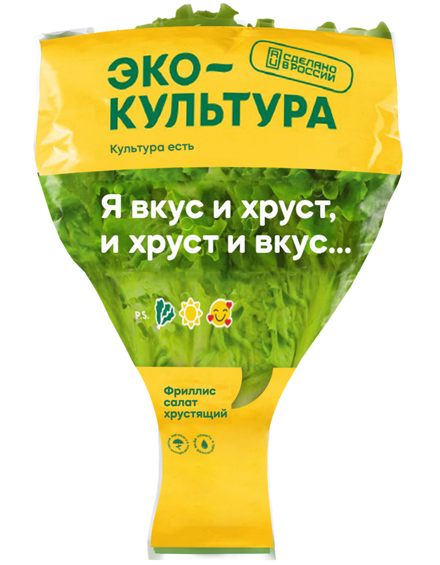 Салат листовой Эко культура в горшочке 100гр.